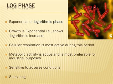 Ppt Bacterial Growth Curve Powerpoint Presentation Free Download