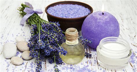 Quick and tasty low carb recipes for busy people on the keto diet (ketogenic vegan for … The 10 Best Lavender Essential Oil Products Ever | WellMe
