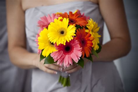 Gerber Daisy Bouquets Wedding Wedding Ideas Pinterest