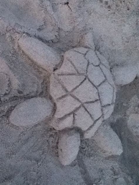 Sand Sculpture Turtle By Donutboy345 On Deviantart