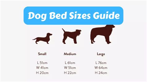 Ultimate Dog Bed Sizes Guide Find The Perfect Fit For Your Pup