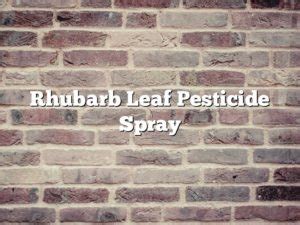 Rhubarb Leaf Pesticide Spray The Homestead Survival