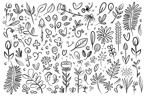 Plant And Flower Specimen Doodles Set Photoshop Graphics ~ Creative Market