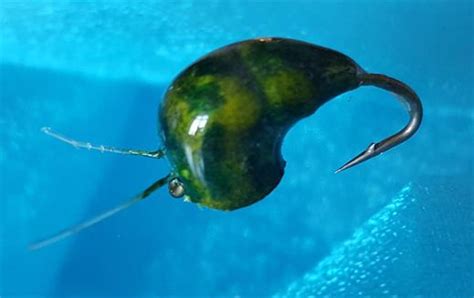 Best quality fly fishing flies hand tied by artisans. Snail Fly - Fishing Flies with Fish4Flies UK