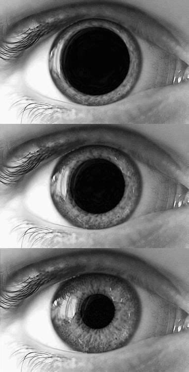 Pupil Dilation On Tumblr
