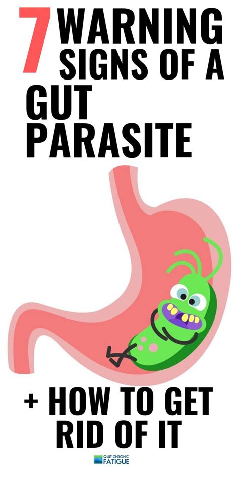 Stomach Parasites Symptoms And How To Get Rid Of Them Quit Chronic