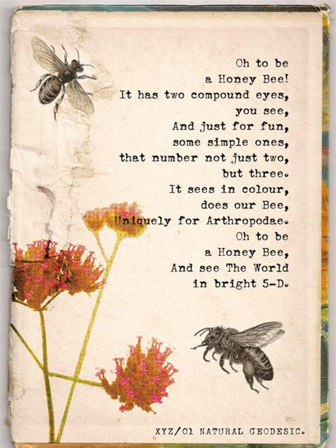 12 Beautifully Illustrated Poems Celebrating Science And Nature Bee Quotes Bee Bee Poem