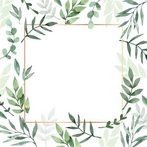 Frame Of Water Color Leaves Vector Background Hand Drawn Watercolor