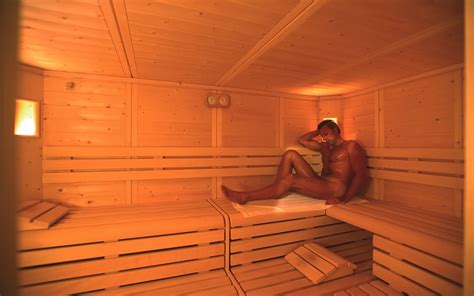 Sauna Biosauna Finnish Sauna Lifestyle Showers Piscine
