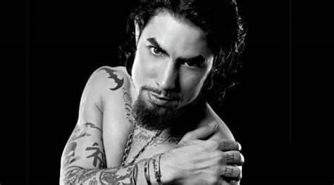 Image Dave Navarro Red Hot Chili Peppers Wiki