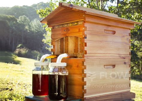 Honey On Tap From Your Own Beehive - Flow™ Hive Home | Bee keeping