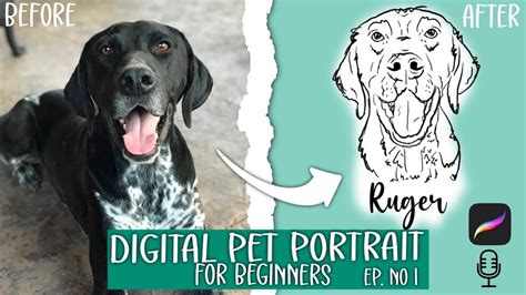 How To Make A Digital Pet Portrait In Procreate Beginner Tutorial