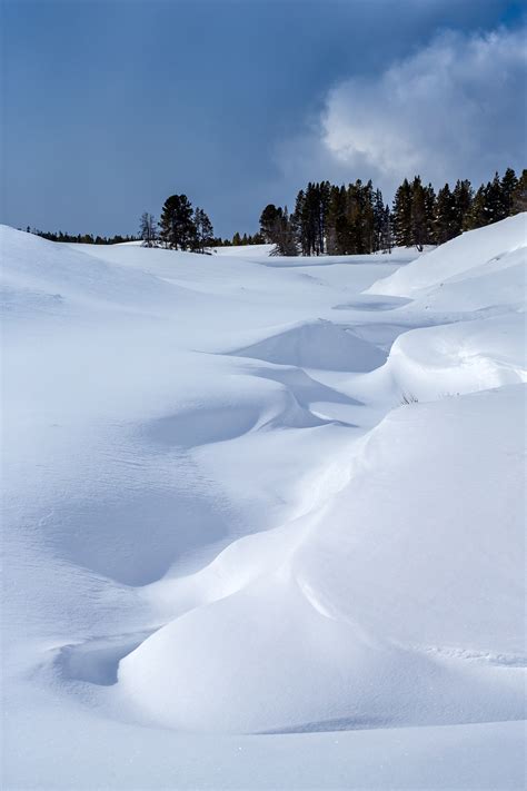 Shapes In The Snow Hayden Valley Yellowstone Photo Print Photos By