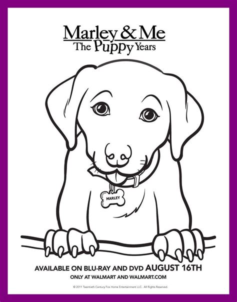 Desert coloring pages is a set of images of the driest land areas on earth that have no bodies of water. Sahara Desert Coloring Pages at GetColorings.com | Free ...
