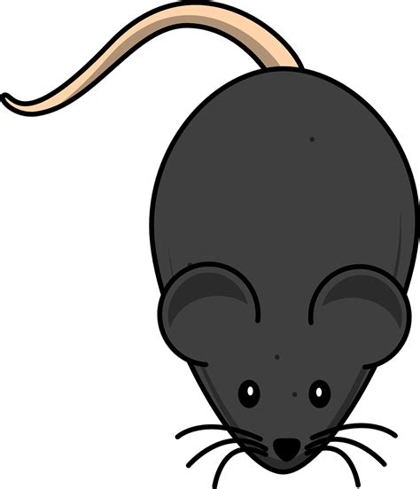 Download Mouse Rodent Black Royalty Free Vector Graphic Pixabay