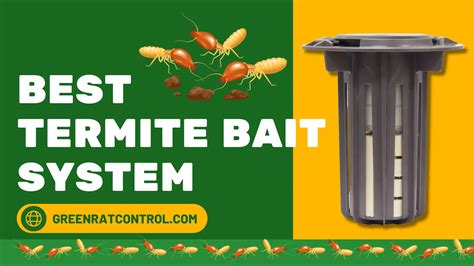 Termite Takeout The Best Termite Bait System For Termites In 2023