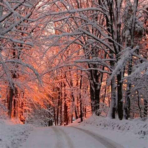 Pin By Linda L On Great Pics Winter Landscape Snow Scenes Snowy Day