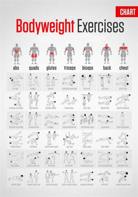 Chest And Triceps Workout Bodyweight