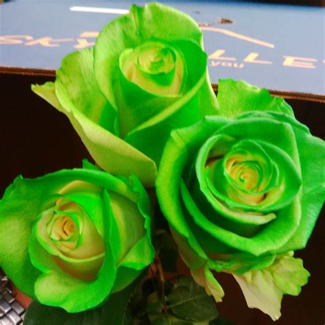 Bright Green Roses Green Rose Rose Green