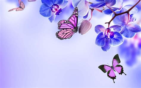 Beautiful Butterflies Wallpapers Wallpaper Cave