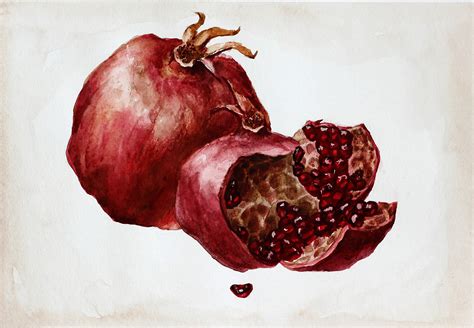 Set Of Pomegranate Original Painting Watercolor Wedding Gift Etsy