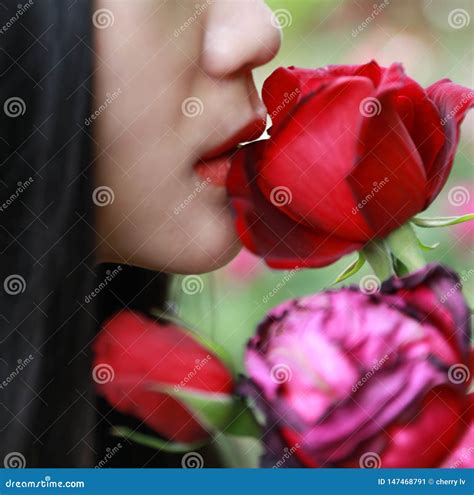 Beautiful Model Woman Kissing Red Rose Flower Stock Image Image Of