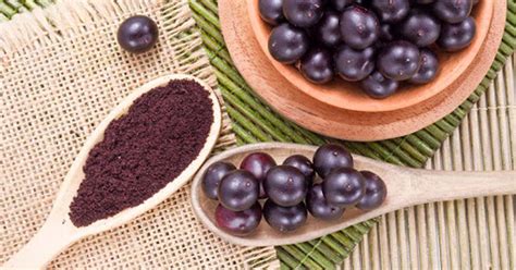 Important Acai Berry Nutritional Properties 1 Amazing Fruit