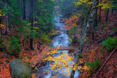 Magic Stream Corel Discovery Center