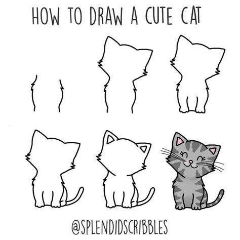 7 easy ways to draw a cat step by step tutorial the smart wander cat drawing tutorial