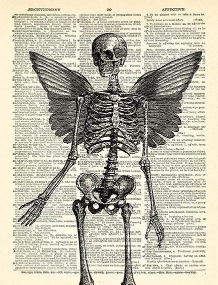 Skeleton Wings Skull Art Print Skeleton Poster Anatomy Goth Etsy
