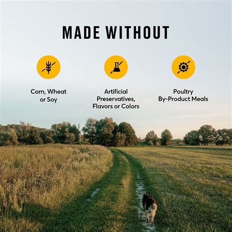 Truth about pet food site has an older list of who makes what , things have probably changed but it. American Journey Active Life Formula Large Breed Puppy ...