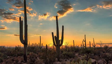 New Construction Homes In Tucson AZ - Saguaro Trails | Mattamy Homes
