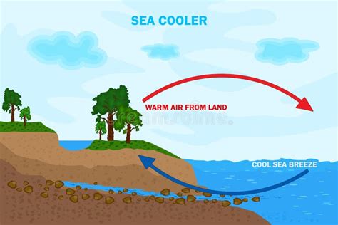 Land And Sea Breeze Vector Illustration Shore Wind Scheme Stock
