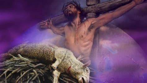 Jesus On Trial Pt6 Sacrificial Lamb Exposed Gdash The Prophet