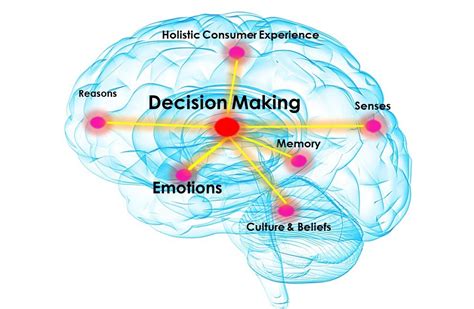 Decision making process: What happens to the brain when we make ...