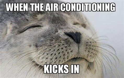 Top 25 Funniest Air Conditioning Memes On The Web