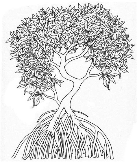 Mangrove Ecosystem Food Web Sketch Coloring Page