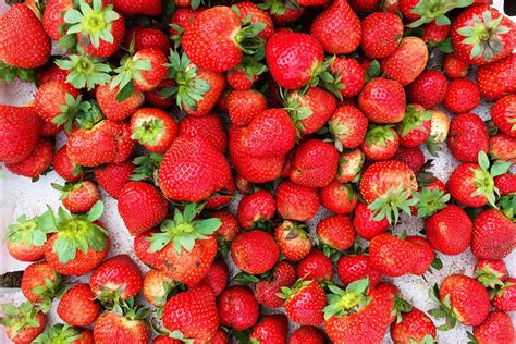Strawberry Farm Baguio Travel Guide Lost And Wonder