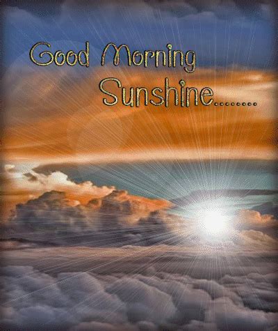 Good Morning Sunshine Pictures Photos And Images For Facebook Tumblr Pinterest And Twitter