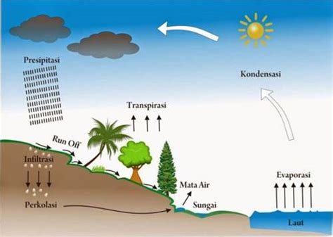 Siklus Air Pengertian Urutan Proses Siklus Hidrologi Dan Gambarnya