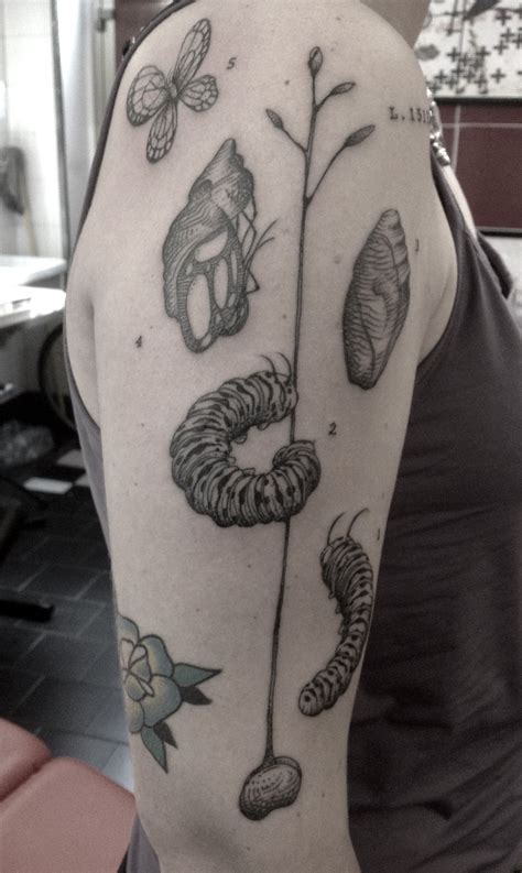 Maybe you would like to learn more about one of these? Pin by Lizzie on ink is art | Caterpillar tattoo, Bug ...