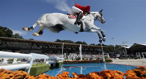 Em ano de olimpíada as. Campeonatos da Europa nem em 2021 - Portal Equitação