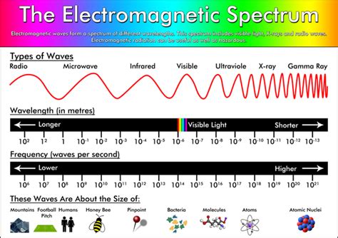 The Electromagnetic Spectrum Poster Tiger Moon