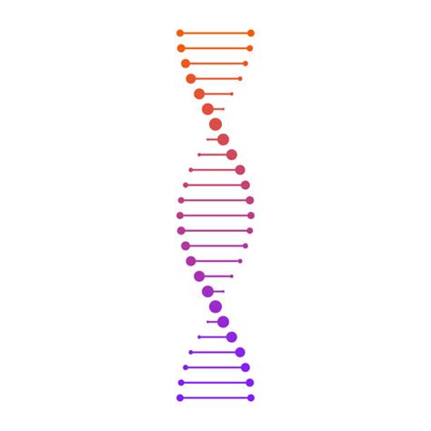 Dna Vector Art Illustrations Rebecca Starnes