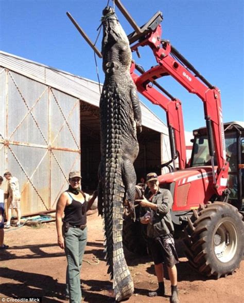 Mysterious Beast Unveiled Enormous Dinosaur Sized Crocodile Strikes