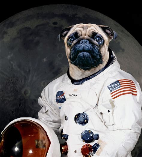 Custom Pet Portrait Personalised Pet Dog Nasa Astronaut Etsy Uk