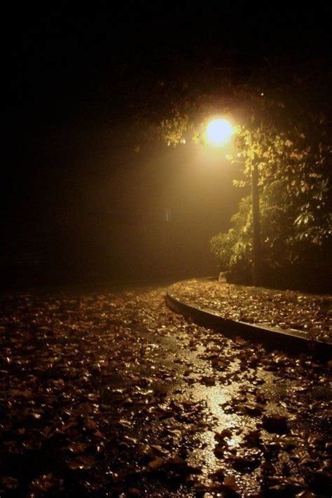 Pin By Viktoriafineart On Photo Autumn Rain Night