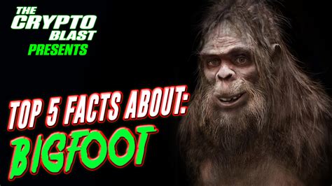 The Crypto Blast Top 5 Facts About Bigfoot