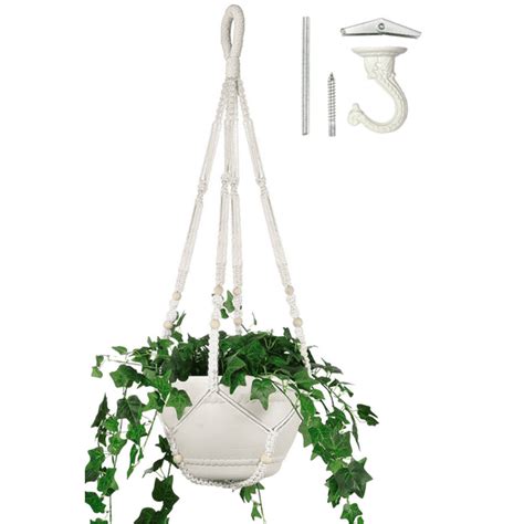 12 Inch Hanging Baskets Plants