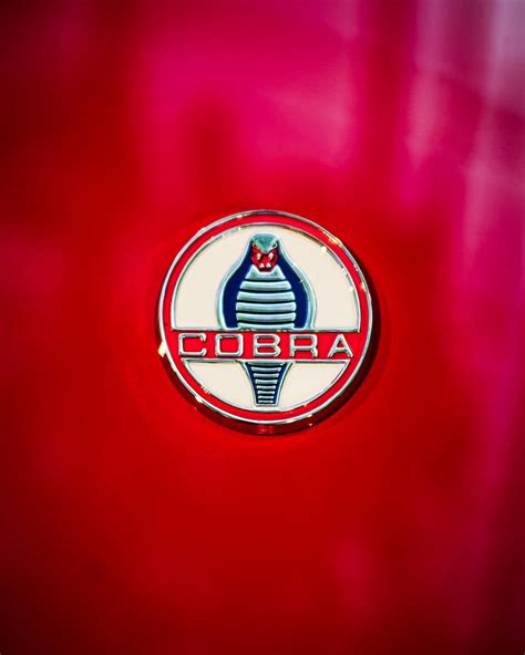 1955 Shelby 427 Cobra Emblem 0124c45 Photograph By Jill Reger Fine